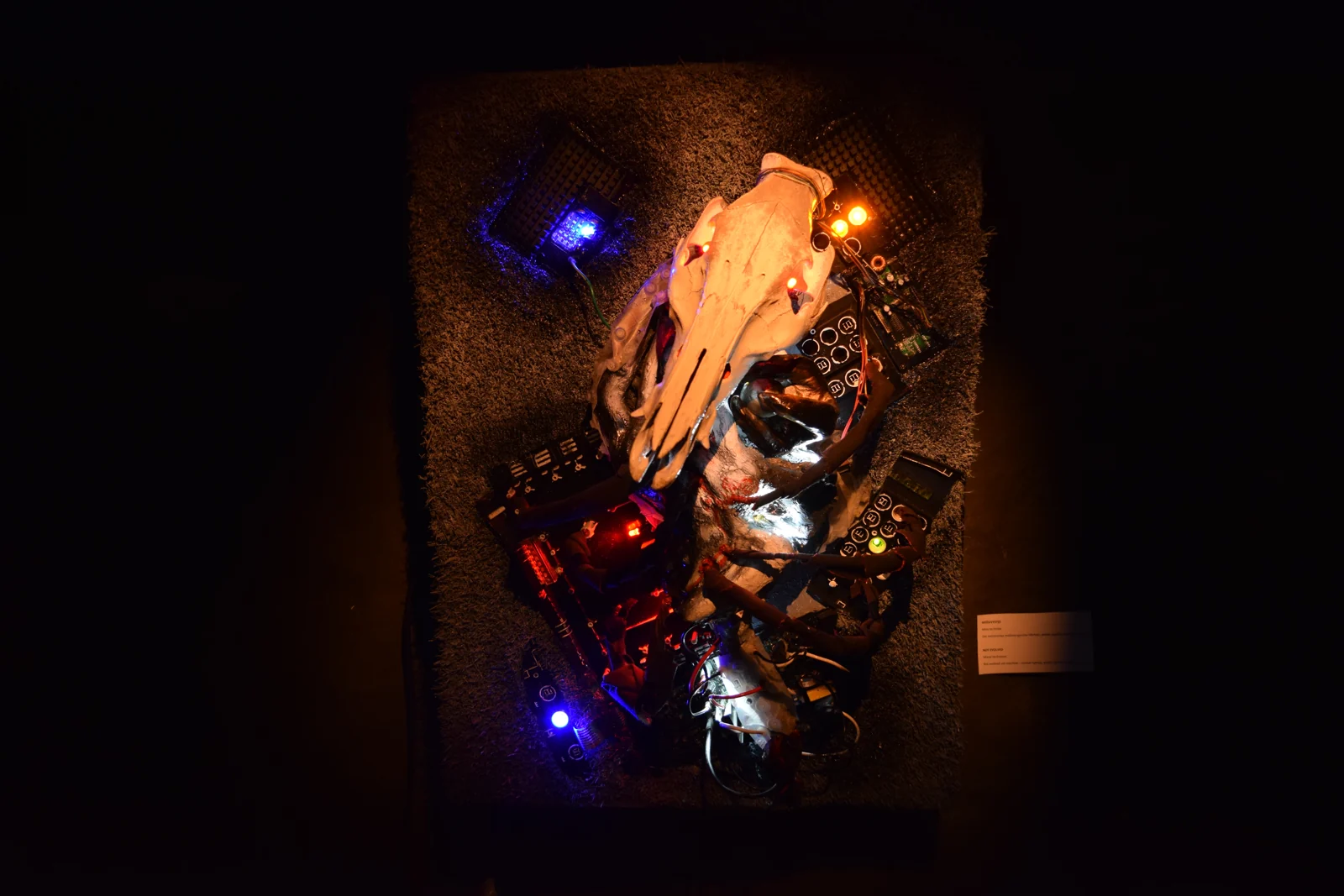 Machinarium — an animal skull built into a circuit-board bed studded with coloured lights